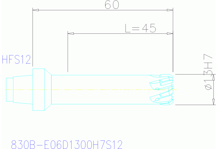830B-E06D1300H7S12
