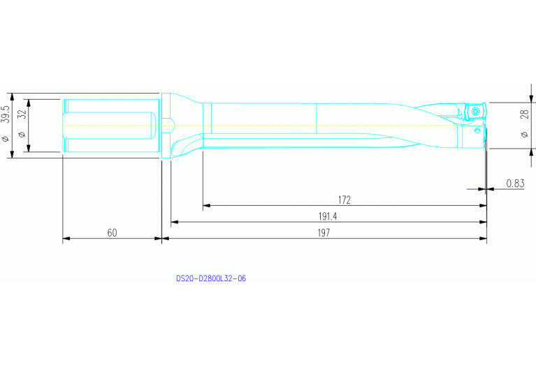 DS20-D2800L32-06