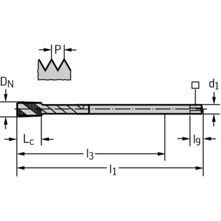 P205683-M12