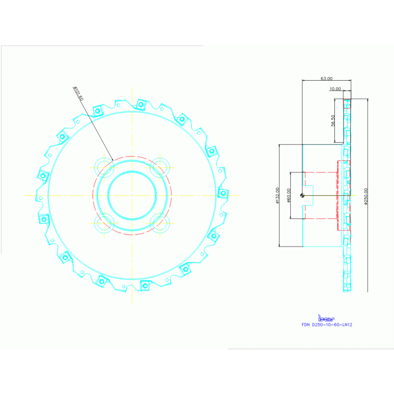 FDN D250-10-60-LN12