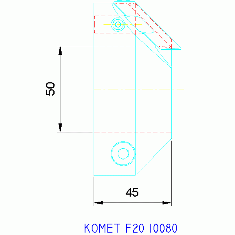 F20 10080