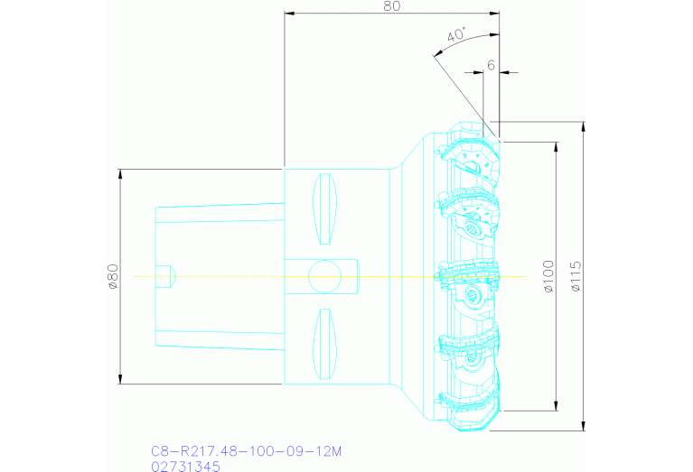 C8-R217.48-100-09-12M