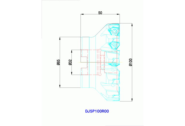 DJ5P100R00