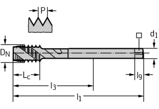 P40569-M12