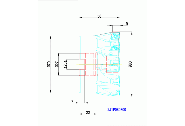 2J1P080R00
