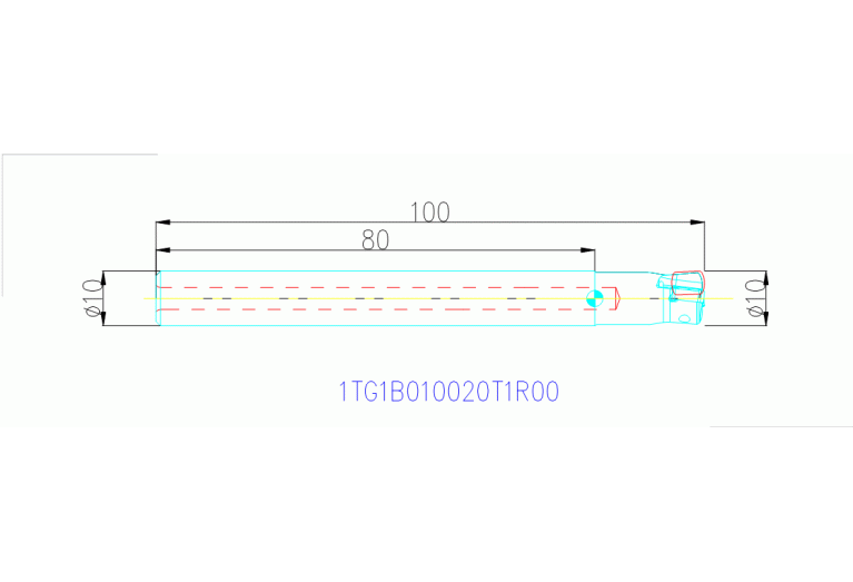 1TG1B010020T1R00