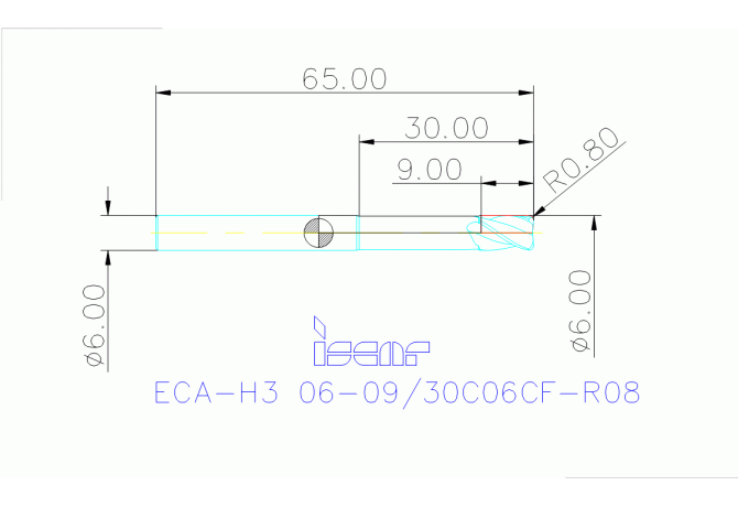 ECA-H3 06-09/30C06CF-R08 IC08