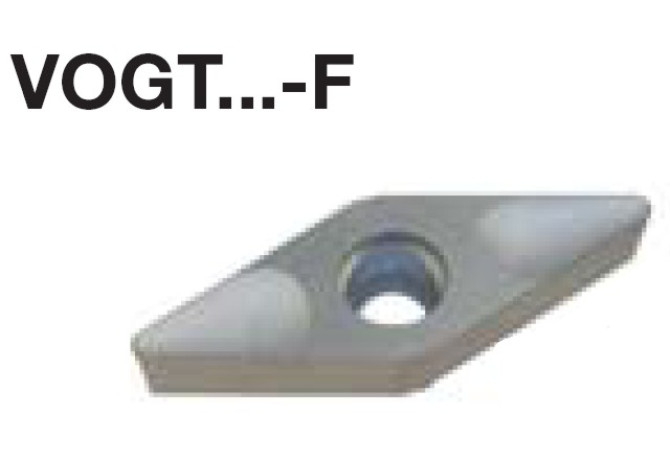 VOGT180610 F HB10