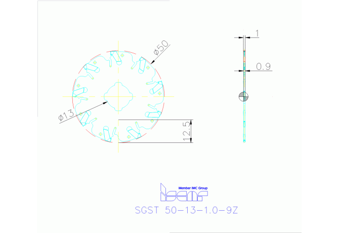 SGST 50-13-1.0-9Z