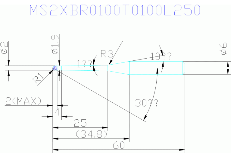 MS2XBR0100T0100L250