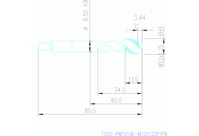 T300-PM101JB-M12X125P1PM