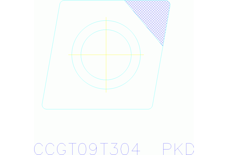 CCGT09T304FS-1 WDN10